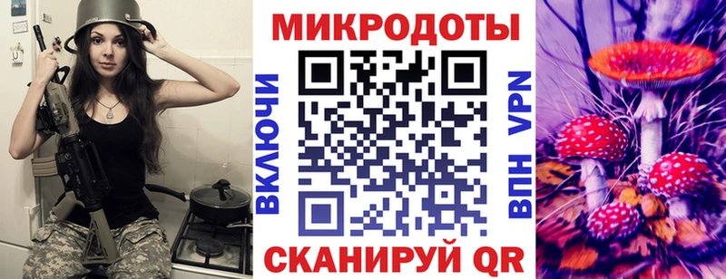 где купить наркоту  Ахтубинск  Псилоцибиновые грибы GOLDEN TEACHER 